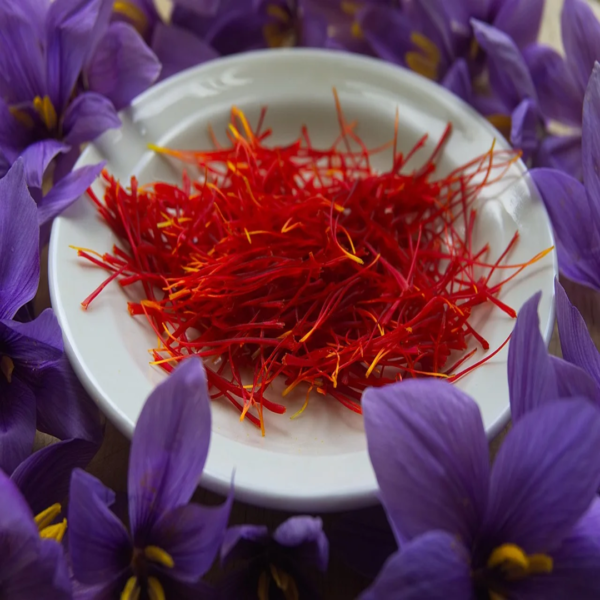 saffron kesar | Pure Negin Kesar | Kashmiri Pure Kesar Online | A++++ Grade | buy online kesar kashmiri from kashmir | katina saffron online premium and natural kesar |